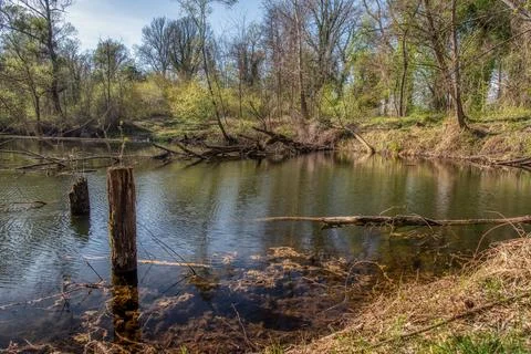Bobri, Dolnja Bistrica is a meander from river Mura Stock Photos