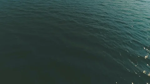 Boca 4 - 1080p Quicktime h264 Stock Footage 101663315