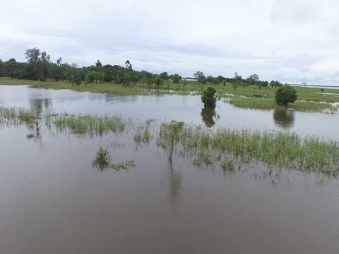 Boca da Valeria, Brasil, Amazon river Stockbeeldmateriaal 83404342