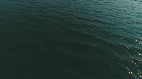 Boca - ProRes 4444 Stock Footage 101627283