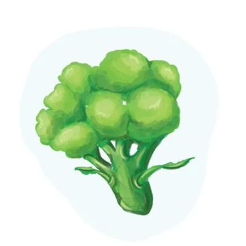 Boccolivegetables on a white background 스톡 일러스트