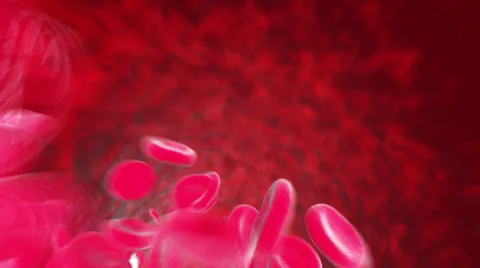 Bod Cells Animations 库存影片 39740555