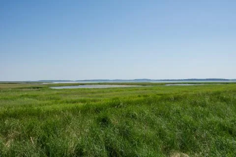 Bodden landscape Stock Photos