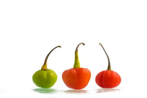 Bode Pepper. Capsicum chinese Stock Photos