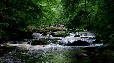 Bode river in Harz Mountains Stock Footage 58085498