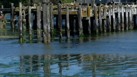 Bodega Bay CA waterfront piers 스톡 동영상 91662283