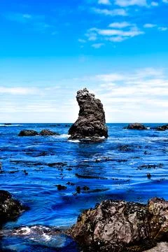 Bodega Bay 库存照片