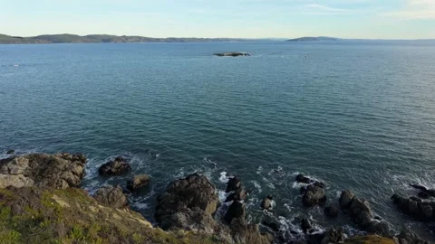 Bodega Head California Coastline View Stock Footage 332827906