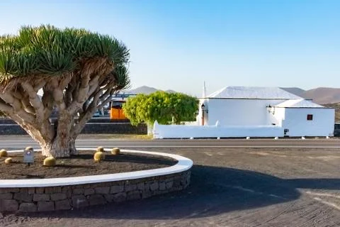 Bodega La Geria - winery in the one of the most-visited vineyards, Lanzarote, Stock Photos