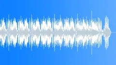 Bodeguita (30seconds cut B) Stock Music