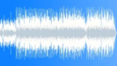 Bodeguita (60seconds cut) Stock Music