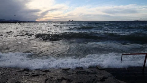 Bodensee Stock Footage 104249047