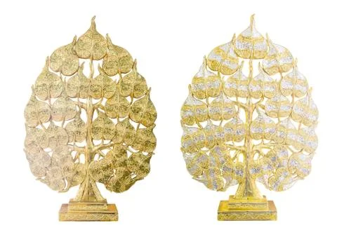 Bodhi Tree Concept Stock Photos