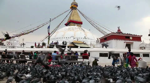Bodnath stupa in Kathmandu Stock-Footage 56713138