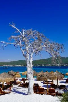 Bodrum, Turkey - August 2020: Lujo's snow white beach with baboon umbrellas Stock-Fotos