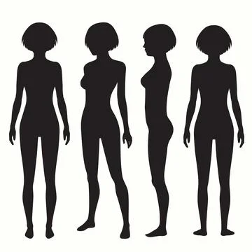 Body anatomy, front, back, side view Stock Illustration