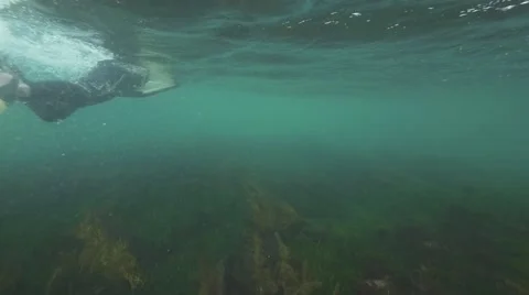 Body boarder Stock Footage 51983688