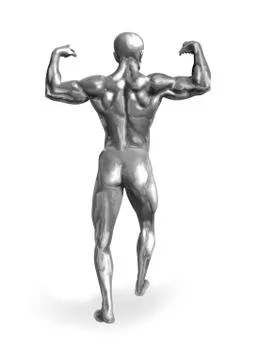 Body Builder Stock Illustration