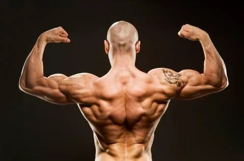 Body Builder Posing - Back Double Biceps. Strong man flexing muscles Stock Photos