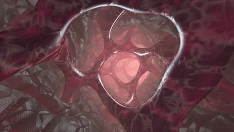 Body Cells Stock Footage 295396032