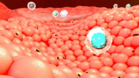 Body Cells Stock Illustration