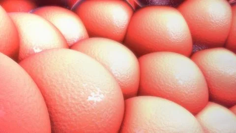 Body cells Stock Illustration