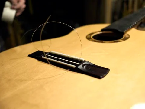The body of a classical guitar, nylon string is inserted into the saddle. Stock Photos