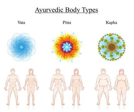 Body Constitution Types Couples Ayurveda Symbols Vata Pitta Kapha Stock Illustration