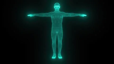 Body digital mesh Stock Illustration