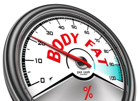 Body fat conceptual meter Stock Illustration