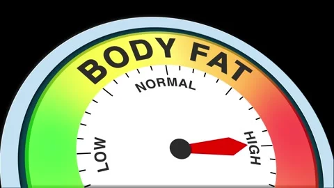 Body Fat Level Text or Word  Low and Normal to High Meter Concept Animation Stock Footage 288640061