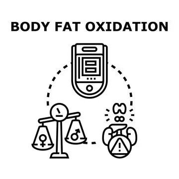 Body fat oxidation process and health control Stock Illustration