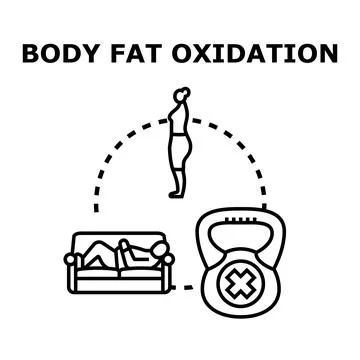 Body fat oxidation process requiring physical activity not rest Ilustración de archivo