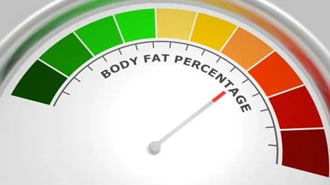 Body Fat Percentage Stock Videos – Royalty-Free HD & 4K Videos | Pond5
