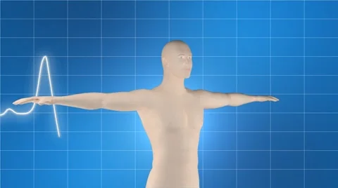 Body Stock Footage 1539453