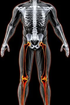 Body Stock-Illustration