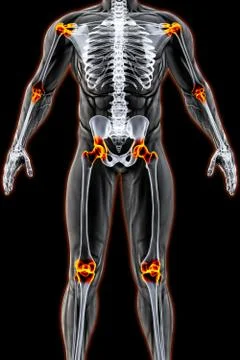 Body Stock Illustration