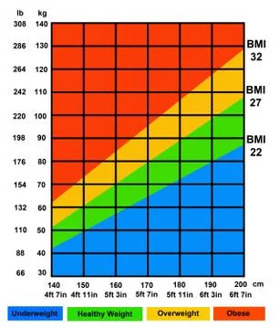 Body mass index Illustrazione stock