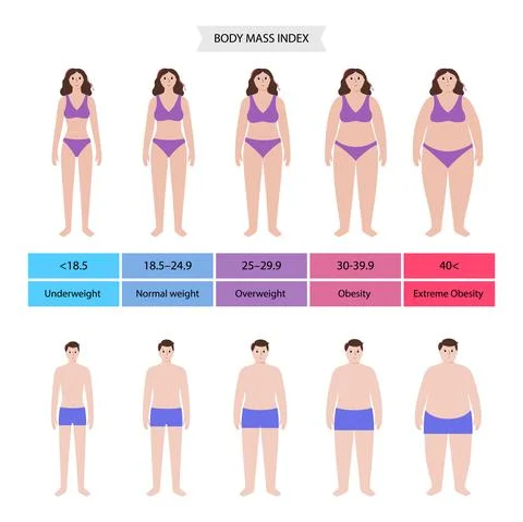 Body mass index Stock Illustration