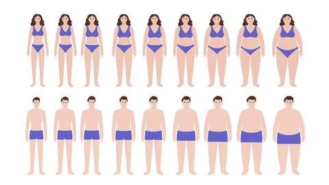 Body mass index Stock Illustration