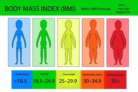 Body mass index vector from underweight to extremely obese. Stock Illustration