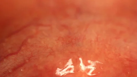 Body Part Stock Footage 98679490