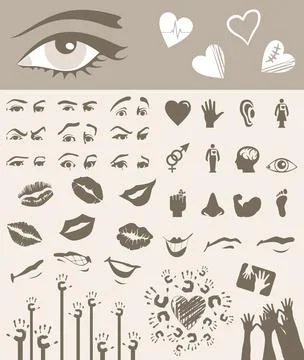Body part Stock Photos