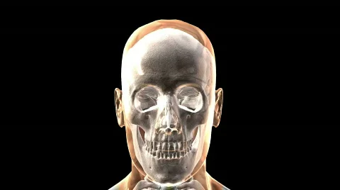 Body skeleton RGB 動画素材 776982