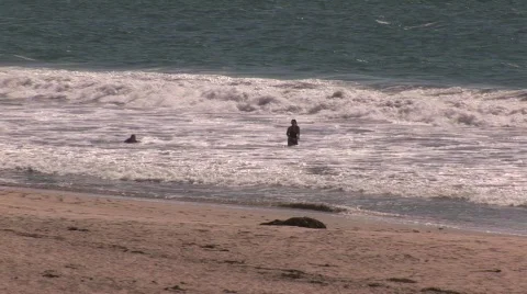 Body Surfing 스톡 동영상 511792