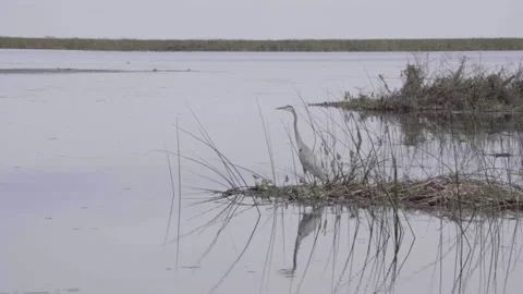 A body of water Stock Footage 155356170