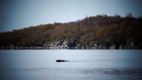 A body of water Stock Footage 155402623
