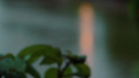 A body of water 動画素材 155591479