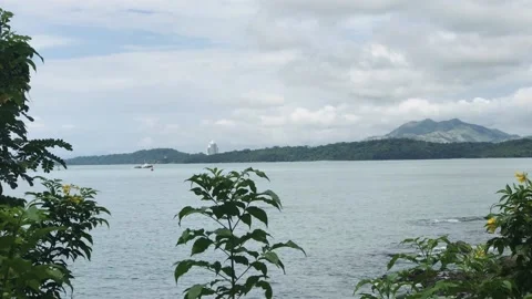 A body of water Stock Footage 155591615