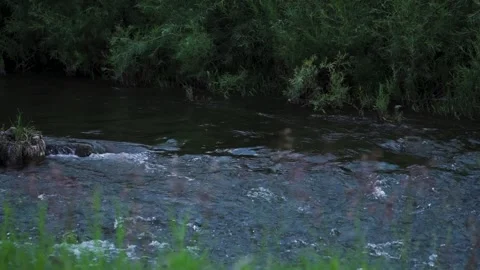 A body of water 動画素材 155594073